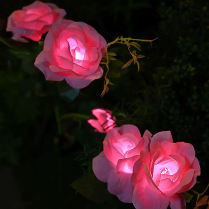 Solar Rose Lamp