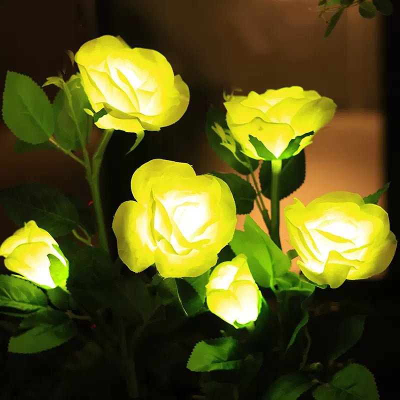 Solar Rose Lamp