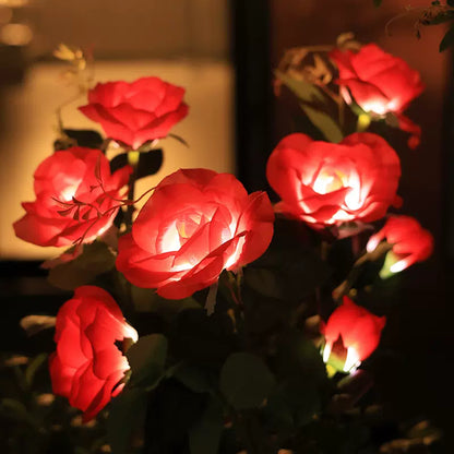 Solar Rose Lamp