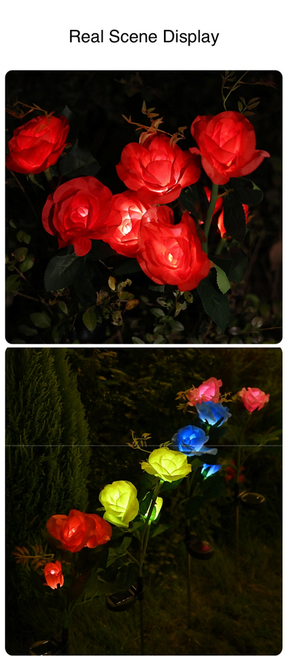 Solar Rose Lamp