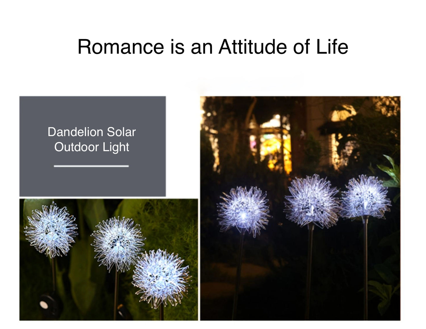 Dandelion Outdoor Solar Light Durable Solar Lawn Light for Garden