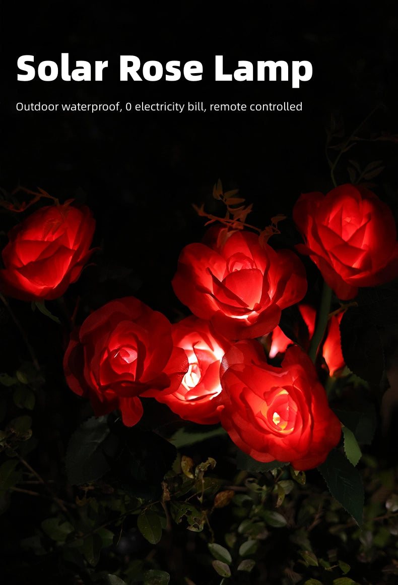 Solar Rose Lamp