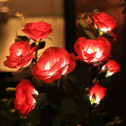 Solar Rose Lamp