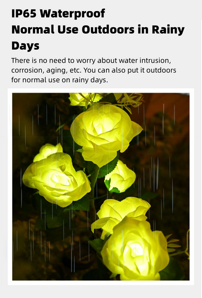 Solar Rose Lamp