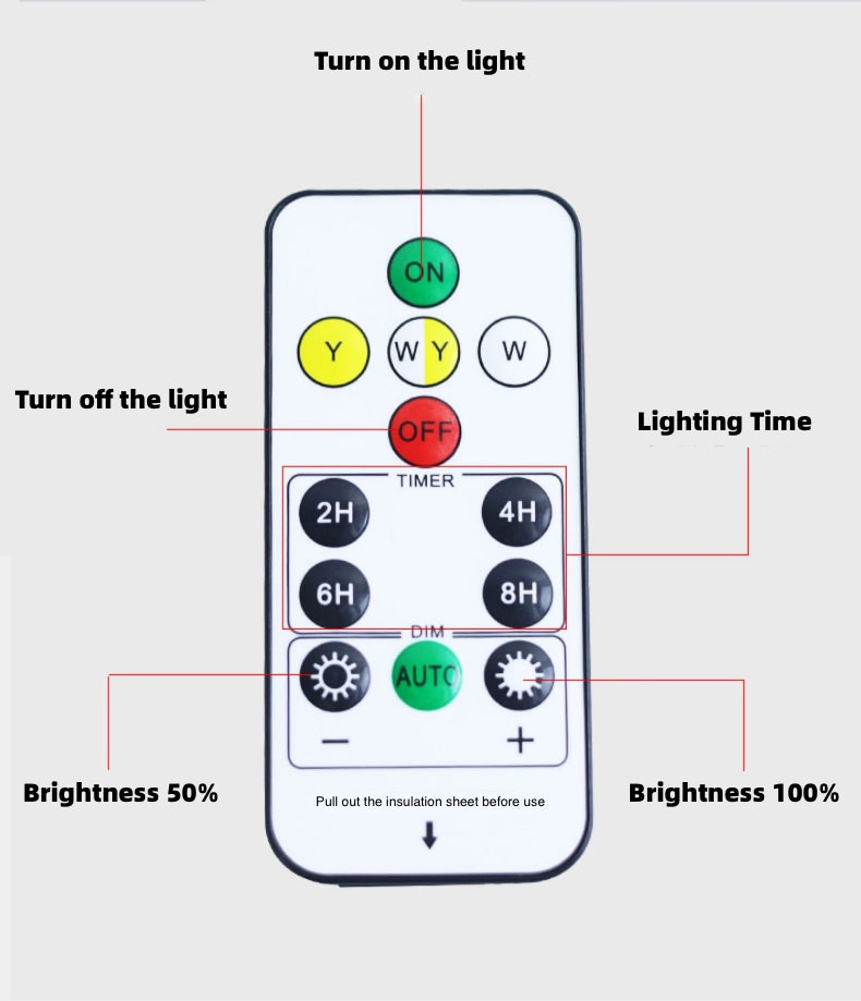 Solar Step Light