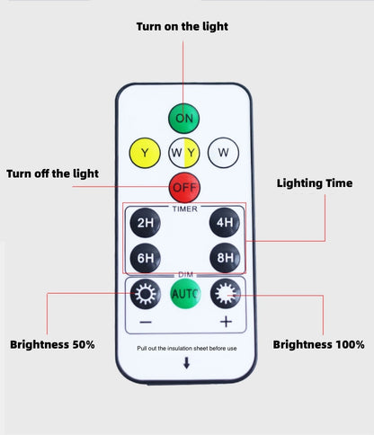 Solar Step Light