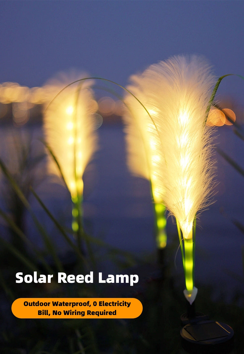 Solar Reed Lamp